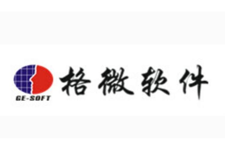 沈陽格微軟件 深耕行業(yè)，以技術(shù)驅(qū)動(dòng)數(shù)字化轉(zhuǎn)型